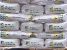 šlechtění ozimé žitné pšenice triticale ječmen oves hrách polní fazole vikve lucerny trávy